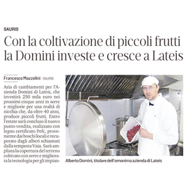 articolo giornale